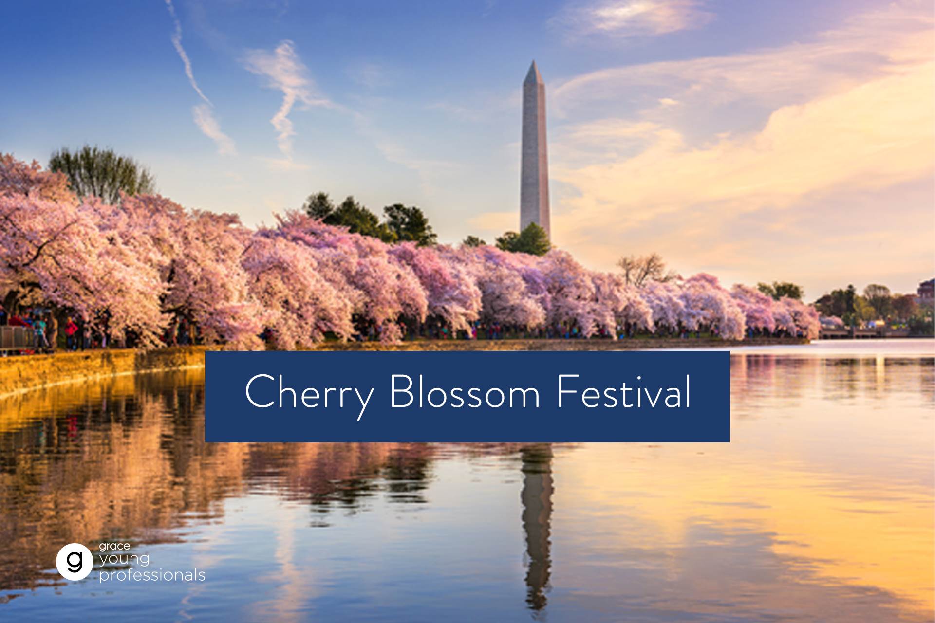 Link to Cherry Blossom Festival detail page