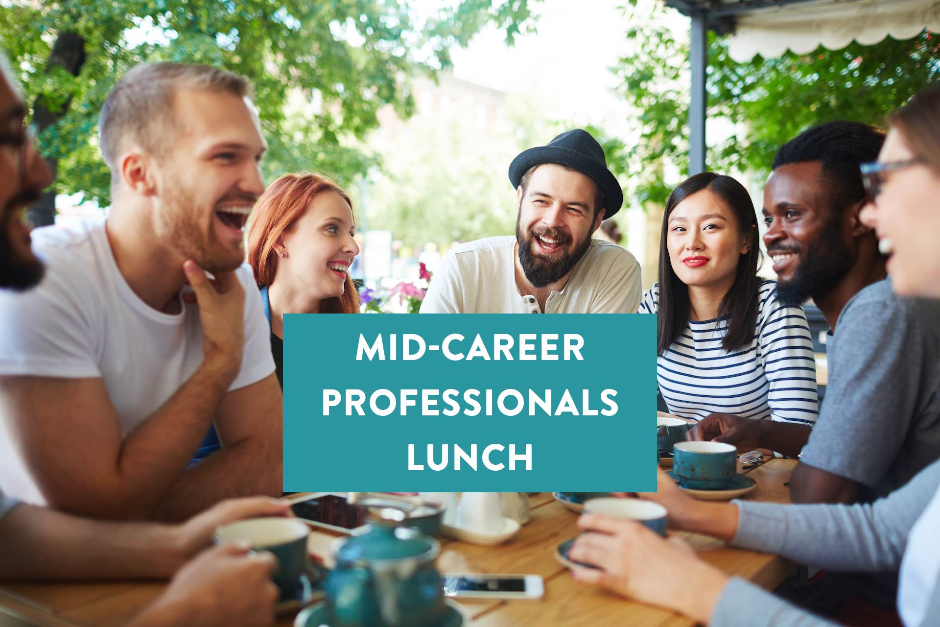 Link to Mid-Career Professionals page