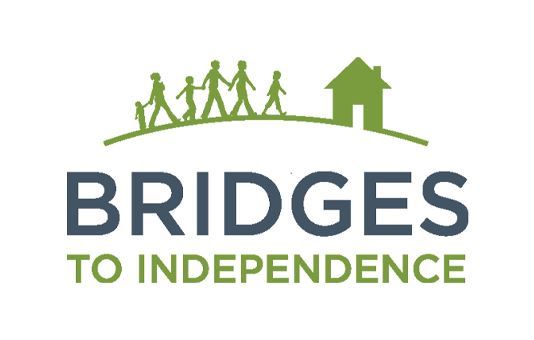 Decorative image for Volunteer at Bridges panel